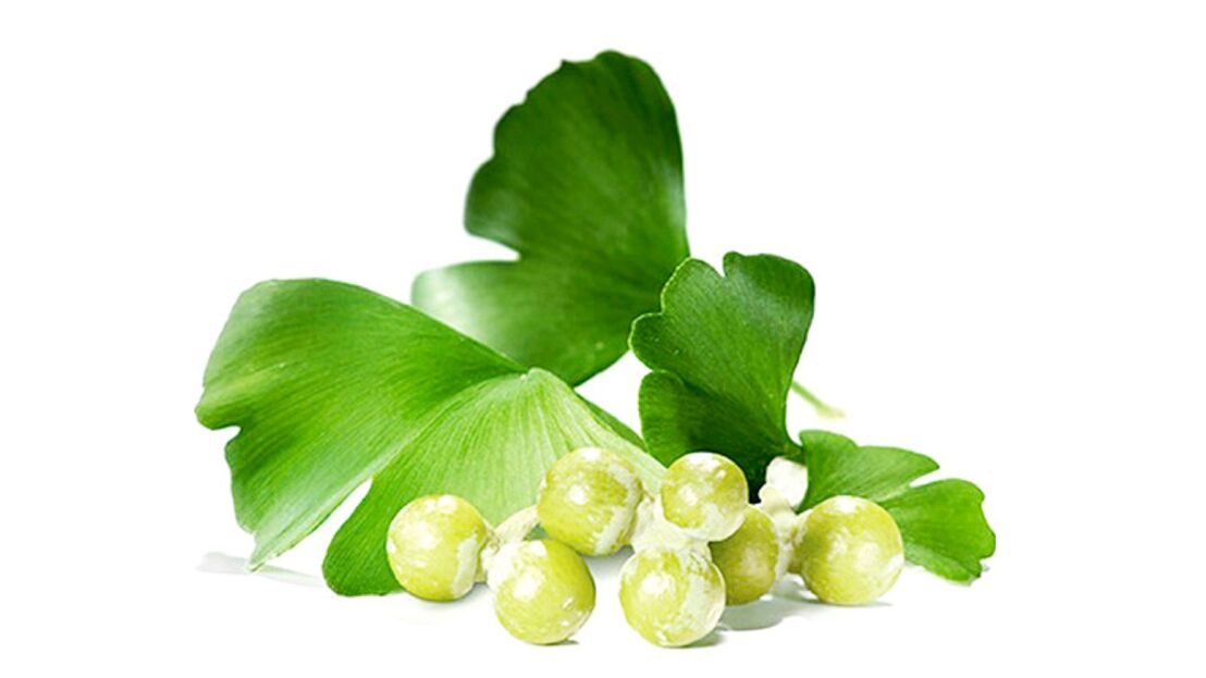 Ginkgo biloba în Osteflex